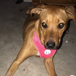 Meet your Posher, Britt